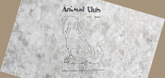 保護犬のリハビリ