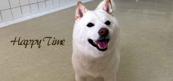 安心安全なお預かり